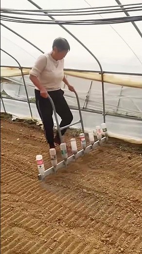 Creative Seed Planting Technique | Greenhouse DIY Tool