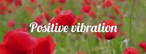 Positive Vibration on Reels