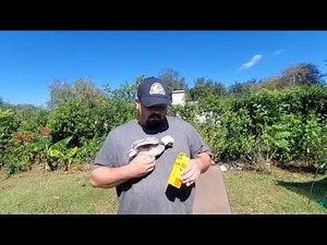 Chicken Eye Infection VetRx™