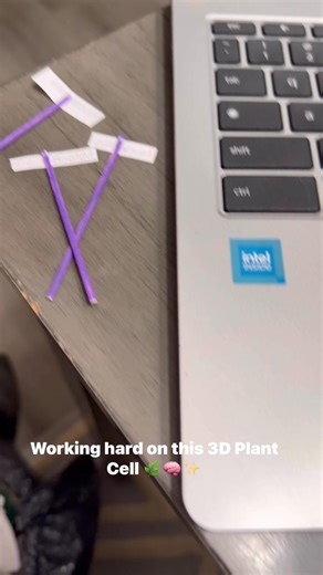 Finally finished Paisley’s 3D Plant Cell project! 🌿🎓 From planning it to putting every piece together — she DID that! Proud mom moment 💚👏 PlantCellProject #ScienceProject #6thGradeLife #ProudMom #HandsOnLearning #STEMKids #WeDidIt #MomLife #CreativeKids #SchoolProjectComplete #fbreelsfypシ゚viralfbreelsfypシ゚viral #fblifestyletyle #fbcontentcreator #fbcontentmonetization I don’t own any rights to music playing in the background. | Patricia Special-Effect Walker