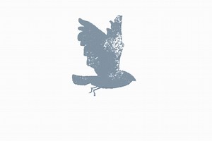 Magpie