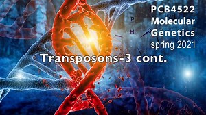 Lecture 14-Transposons-3 continued
