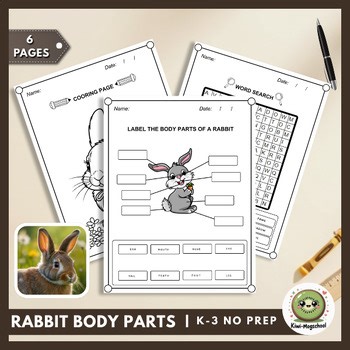 [K-3] Rabbit Body Parts Labeling Diagram Worksheets | Pet Unit Science Activity