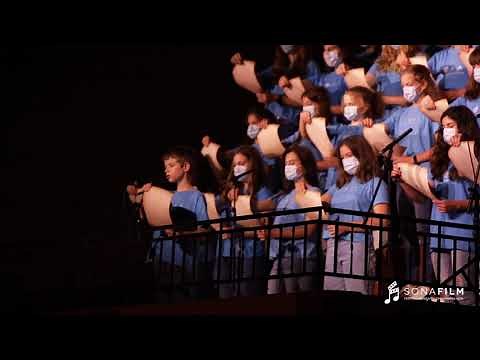LORD OF THE RINGS FULL ORCHESTRA ( The Fellowship of the Ring Suite) UNIVERSAL SYMPHONY ORCHESTRA