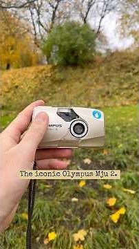 My Top 5 Point & Shoot Film Cameras of 2025 🎞️📸