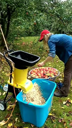 DIY Apple grinder from electric chipper on Fruits Des Vignes farm