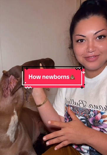 Normal Newborn Puppy Poop & Eating Habits Explained! | XL Bully Owners