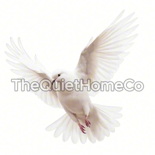 20 White Dove Clipart Pngs | Flying Bird Illustrations (digital Download) | Set #564 - Etsy