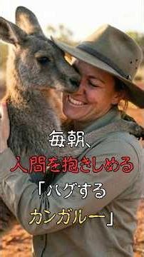 An orphaned kangaroo... The reason why it has never missed a "daily hug" for 10 years brings tear...