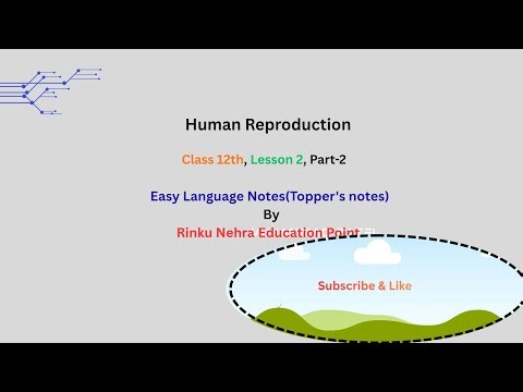 Class 12th Lesson 2 Part -2 Human Reproductive system easy notes/ Handwritten notes/ Cbse/BSEH