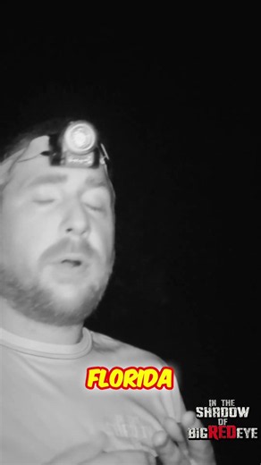 📹 Camera Person and Florida's DEADLIEST Animals 🦟