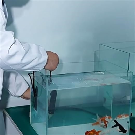 Aquarium Heizung 100W – Heizstab Aquarium mit Thermostat & Übertemperaturschutz, Tauchheizung für Süß- & Meerwasser, Tauchsieder für Aquarium & Terrarium, Heizstab für Aquarien bis 50L