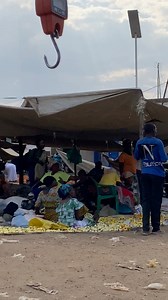 4.7K views · 129 reactions | My fake prank made them run she can run  https://www.tiktok.com/@myvoicecomedy?_t=ZM-8uZ5mVykeQg&_r=1 | My voice comedy | Facebook