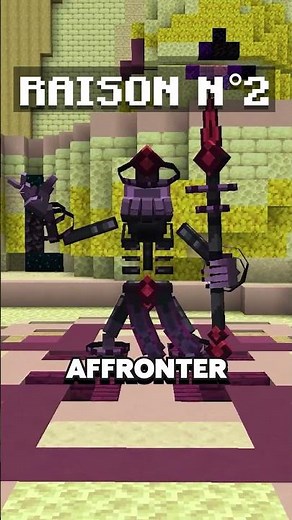 3 Raisons de Tester ce Mode de Jeu ! #minecraft #minecraftmemes #smp #minecraftserver