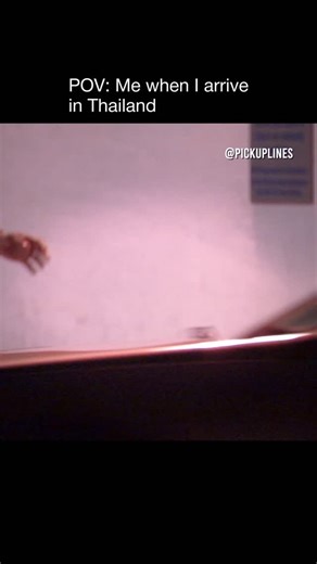 😂 Interesting fact: Arrested Development (2003–2019) became famous for its layered, fast-paced humor packed with hidden jokes, callbacks, and background gags that reward rewatching. What makes it stand out is its clever writing. Instead of obvious punchlines, the show builds long-running jokes and subtle irony—turning the dysfunctional Bluth family into one of the smartest comedies on television. | Pickuplines & Memes