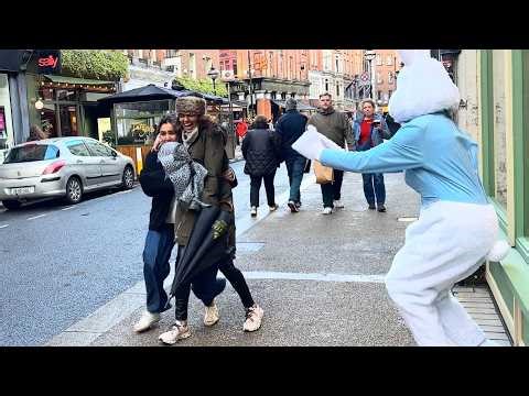 Funny Bunny Prank Clips