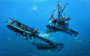 How do you fix new tank syndrome? [2025] | QAQooking.wiki