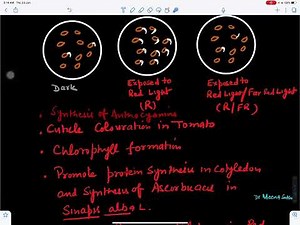 Photomorphogenesis(Phytochrome and Cryptochrome)‪@BotanistMeena1987‬
