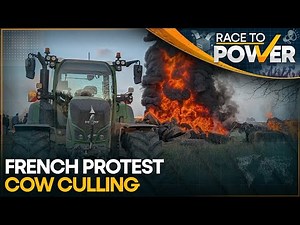 France Protests: Cow Culling Due to a Lumpy Skin Disease Sparks Outrage Across France | WION