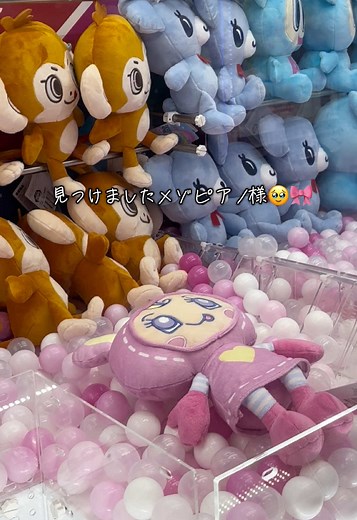 メゾピアノ&ルッキーのクレーンゲーム挑戦！ナルミヤキャラクターズのプライズ取得🎀