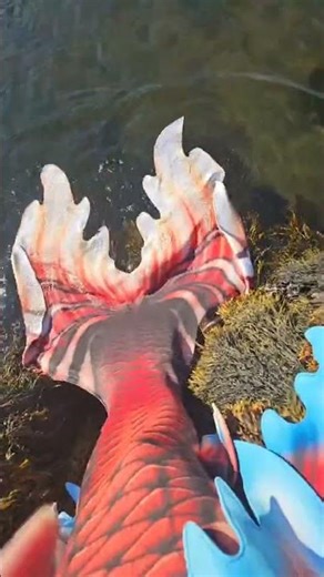 Mermaid Tail #live #canada #mermaid #ocean #fallintoshorts #mertailor #highlights