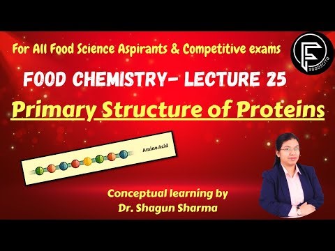Primary Structure of Proteins