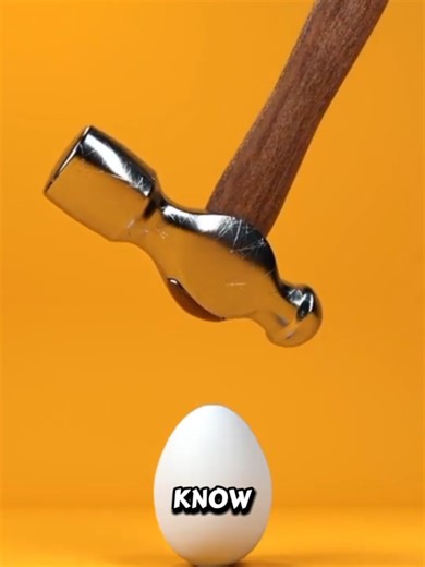 Did You Know?? #FunFactTime #DidYouKnowThat #UnknownFacts #FunFact