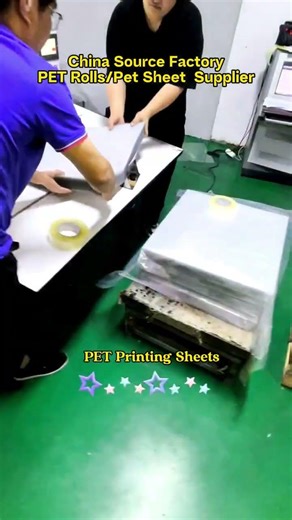 PVC Roll & PET Sheet Supplier,China Source Factory
