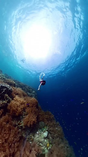 Achieve Clear Underwater Footage: Insta360 X4 Shooting and Editing Tips