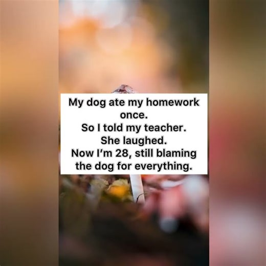 Best Short Jokes 2025 😀 #shorts #jokes #humor