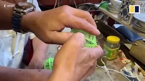 In China, crickets put up a good fight