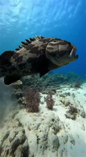 18 de febrero de 2026