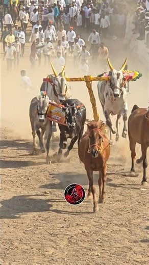 नाद एकच तळ्यापासून ते आळ्या पर्यंत..!! बारी 12 सेकंद रामकृष्ण हरी 💯🚩📿🙏याला म्हणत्यात फकडे..💯🚩