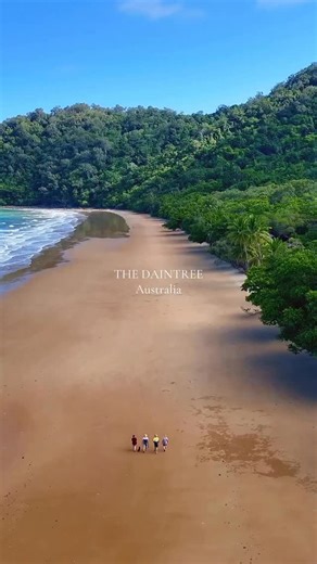 The Daintree is one of those places you just have to see if you’re on a holiday in Port Douglas! It’s an easy day trip and a favourite for a reason. Rainforest right up to the beach, wide open space, and that quiet feeling you don’t get many places anymore. If you’re currently here, this is definitely one to add to your list and not miss. Check out ways to explore the Daintree in the Port Douglas App. Download the app. 🎥 @tgraham.photography #daintree #portdouglas #visitqueensland #rainforestco