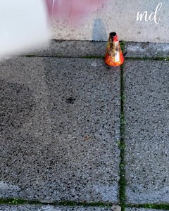 The damages that fireworks can cause! 🧨🔥 | Simple ideas