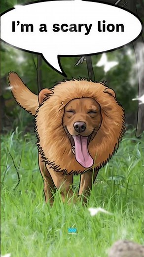 Cutest predator ❤️😭