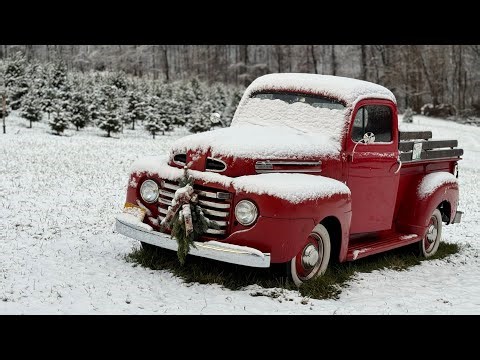 Snickers Gap Christmas Tree Farm Zooming in for tree