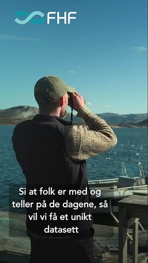 Slik registrerer du fugl ved havbruksanlegg (Steg-for-steg)