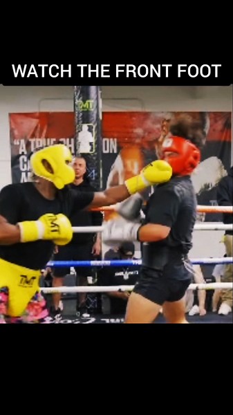 Floyd Mayweathers Crisp Jab