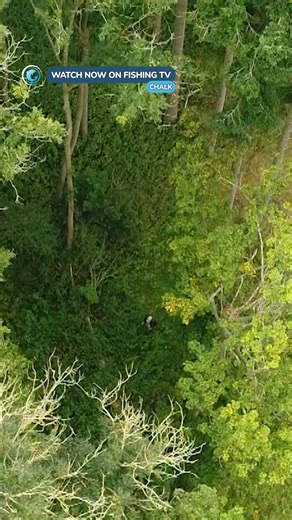 A new vision for fishing… would you fish this stream? - ‘CHALK’ on Fishing TV Click the link to watch now! https://www.fishingtv.com/series/the-hunt-for-monster-bass-season-4/ CHALK is a feature length film about the past present and future of the chalk streams of England and how their very existence shaped the sport of fly fishing. We meet the people who continue to fish and care for these storied rivers, while learning about the techniques that Halford, Skues and Sawyer invented. In addition t