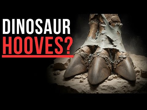 The Only Fossil That Proves Dinosaurs Turned Into Mummies | Wyoming's 'Mummy Zone'