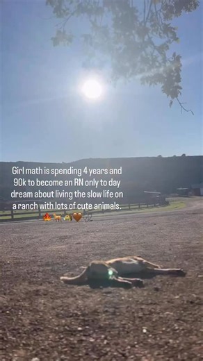 So of course- I became a remote nurse and have it all. 🫶🏻 You’ll find me here…in the mountains. No managers calling asking to pick up because they are short staffed again. No beeping machines or call lights. No traffic. No hospital politics. No holidays. No weekends. Just sleeping in and waking up naturally. Working in the sunlight. Hanging out with the sheep, horses, and chickens. Afternoon naps with my dogs. Slow mornings, calm days, and a happy nervous system. You literally cannot imagine… 