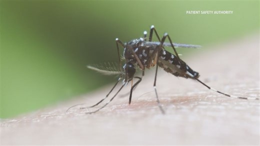 York County to conduct mosquito spraying operations in Hanover, York area this week