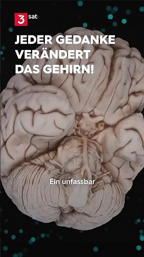 Every thought changes our brain!