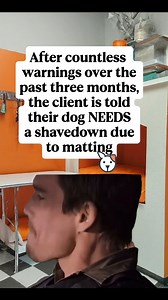 Severe matting is a huge problem. Think about if you ever had gum stuck in your hair - now picture that has a knot of hair that just can't be undone over time. There are ways around shavedowns, but sometimes the client just needs to learn (they unfortunately don't even after shavedowns 😢 ) #loyaltypetproducts #doggroomers #doggrooming #smallbusiness #awardwinning #petstylist #furresist #apparel #lovelaughloyalty #funnynotfunny #matting #brushyourdog #shavedown #shaveyshavey #groomerhumor #vette