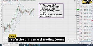 Professional Fibonacci Trading Course Beginner to Advanced