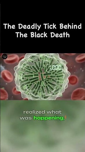 The Deadly Trick Behind the Black Death #history #facts #darkhistory