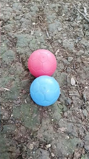 two small eggs #egg #eggs #كراميش #عصومي_ووليد #دبدوب