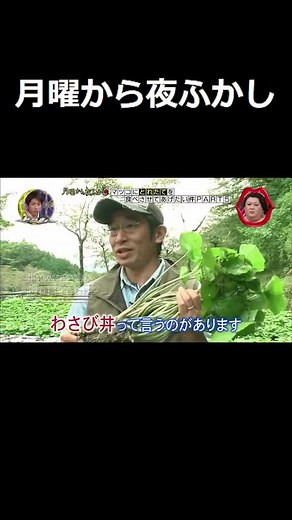 月曜から夜ふかし-わさび- 1マツコ・デラックス