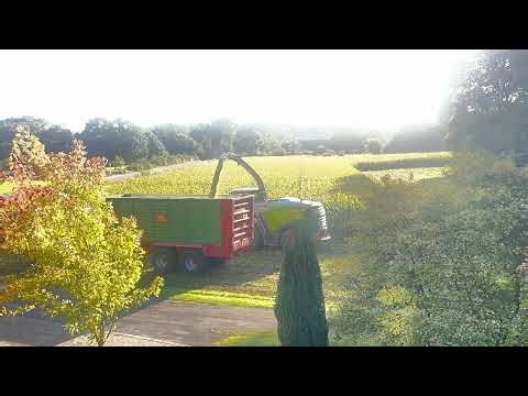 LS 25 Mais Häckseln XXL